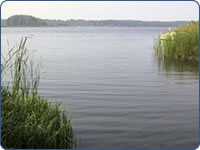 Neuendorfer See Spreewald Brandenburg